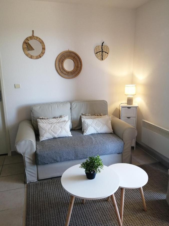 Le Cocon De Marie,Piscine, Balcon, Parking Gratuit, Baignoire Apartment Каркасон Екстериор снимка