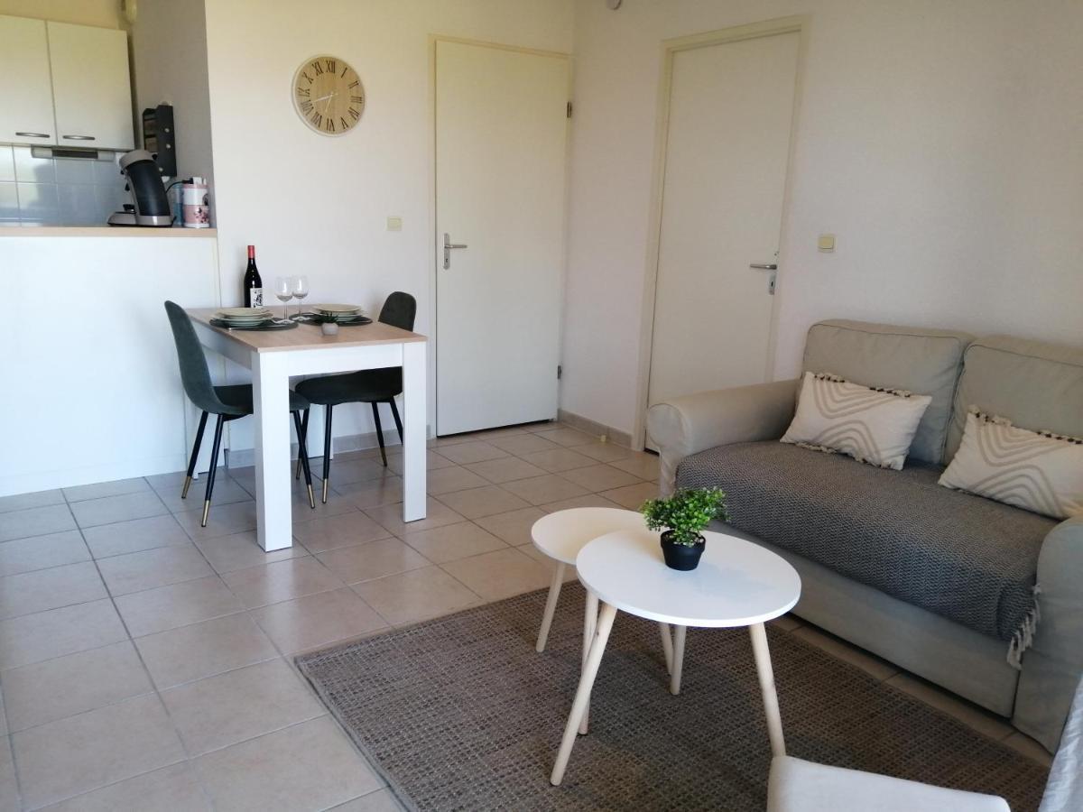 Le Cocon De Marie,Piscine, Balcon, Parking Gratuit, Baignoire Apartment Каркасон Екстериор снимка