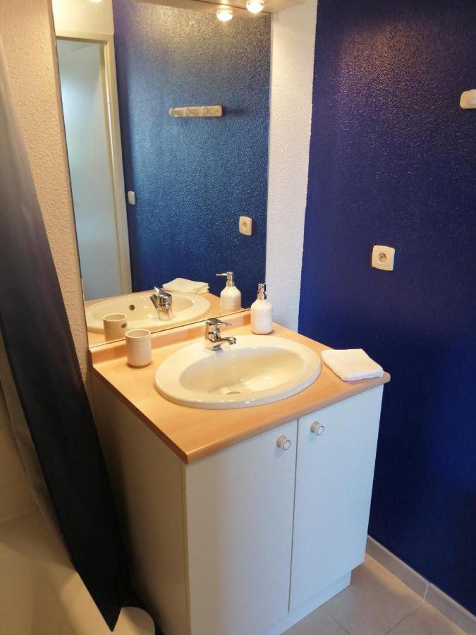Le Cocon De Marie,Piscine, Balcon, Parking Gratuit, Baignoire Apartment Каркасон Екстериор снимка