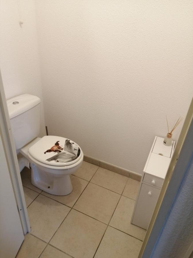Le Cocon De Marie,Piscine, Balcon, Parking Gratuit, Baignoire Apartment Каркасон Екстериор снимка